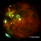 The eROSITA first light image of the Large Magellanic Cloud